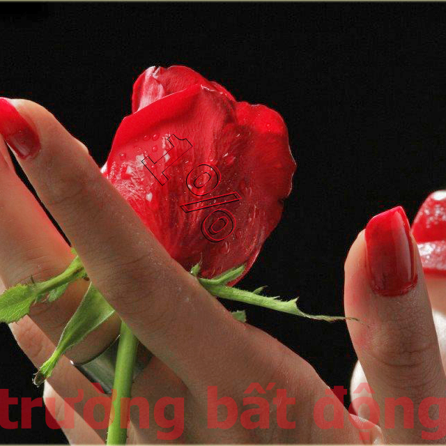 Đất Phù Sa