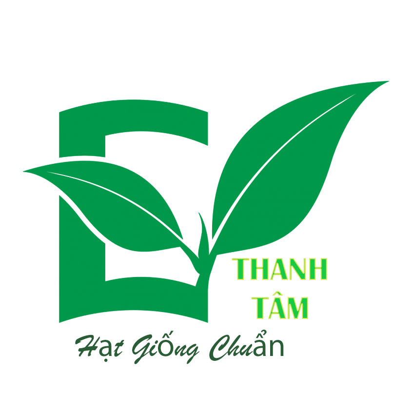 tạ văn quý