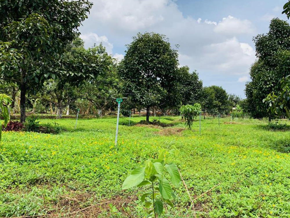 Đất vườn hồ Trị An, Cách Quốc lộ 900m, mặt tiền đường nhà nước