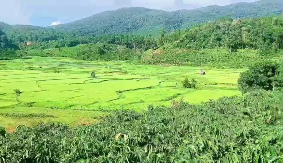 Kẹt tiền bán gấp đất sinh thái nghỉ dưỡng