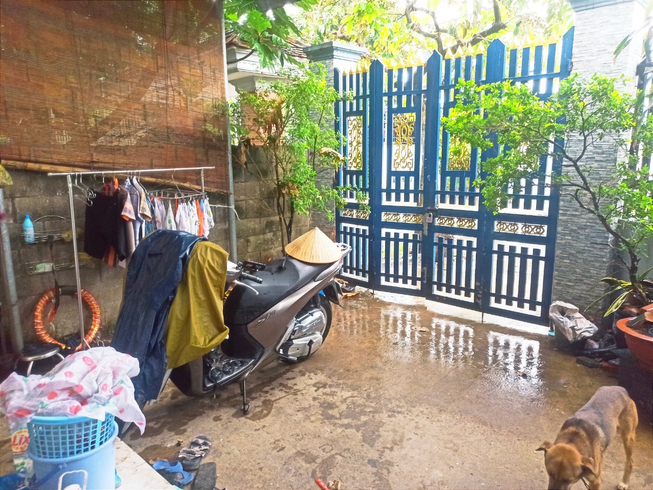 Hẻm Trần Văn Mười, MT XTT9 10M, 6X25M, 2 TẦNG BTCT, CHỈ nhỉnh 5 Tỷ.