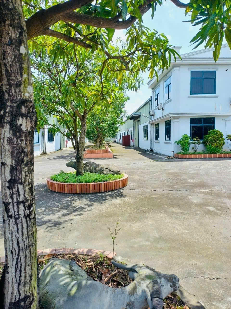 Bán nhà máy + đất 9907m2 ngay trung tâm thành phố Nam Định