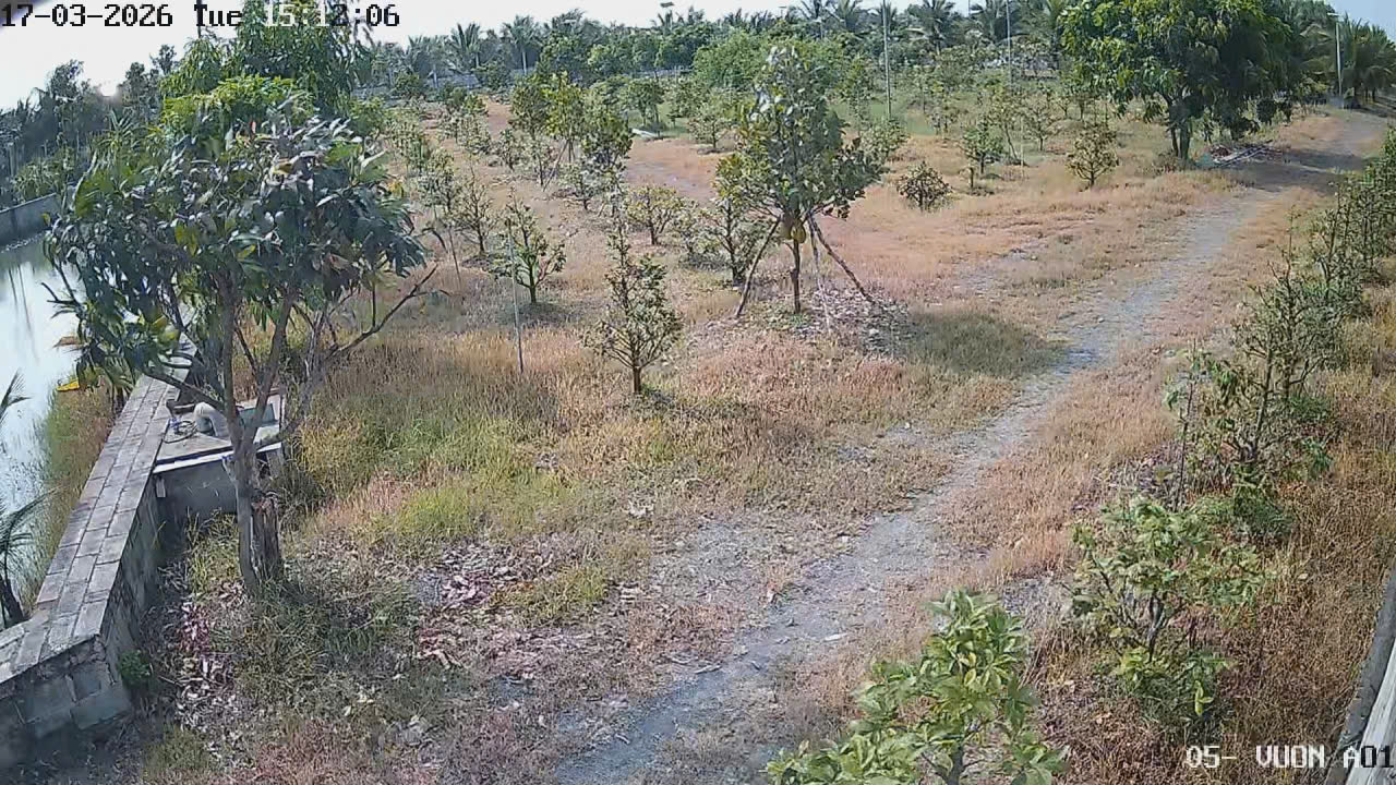 Bán 12000 m2 nhà vườn giá 29,5 tỷ tại Kênh 12 Lê Minh Xuân Bình Chánh