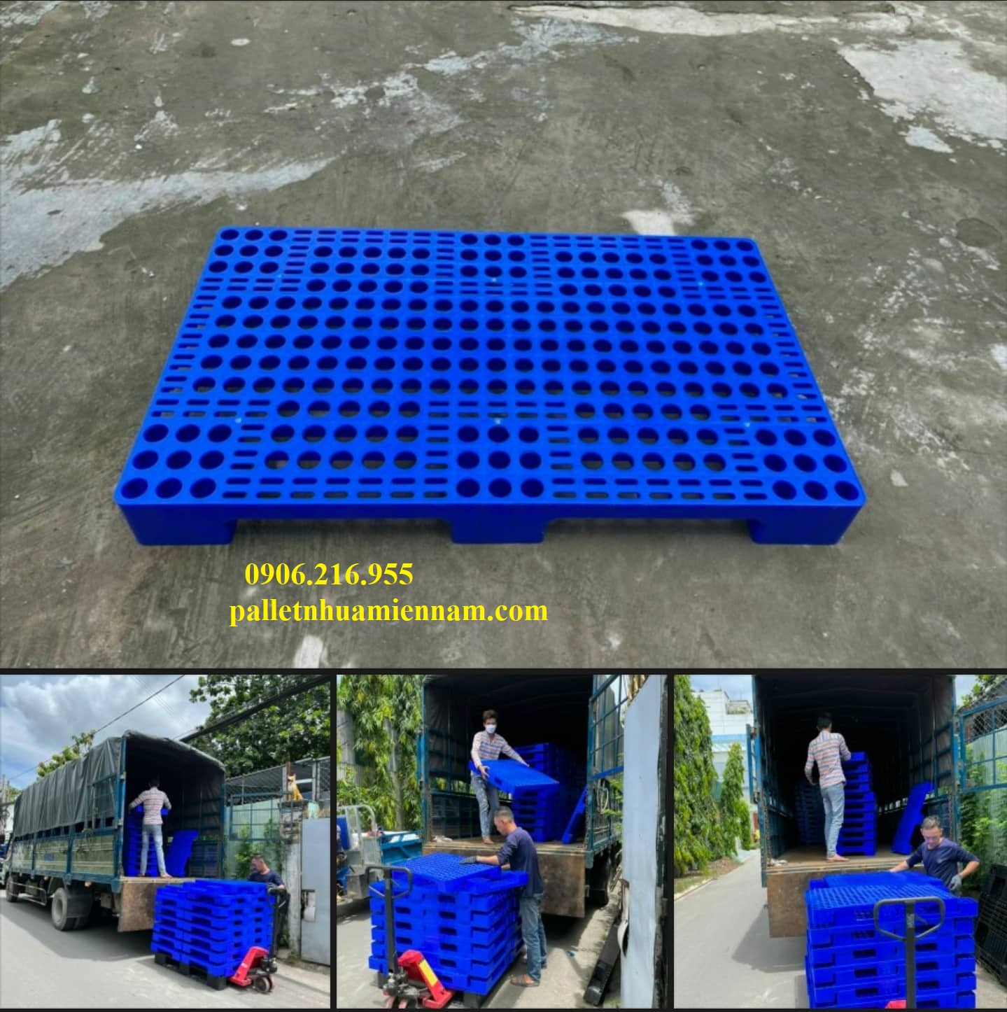 Pallet Nhựa Xanh Sẵn 100 Mẫu Đẹp Giá Rẻ Đẹp Bền Giao Nhanh