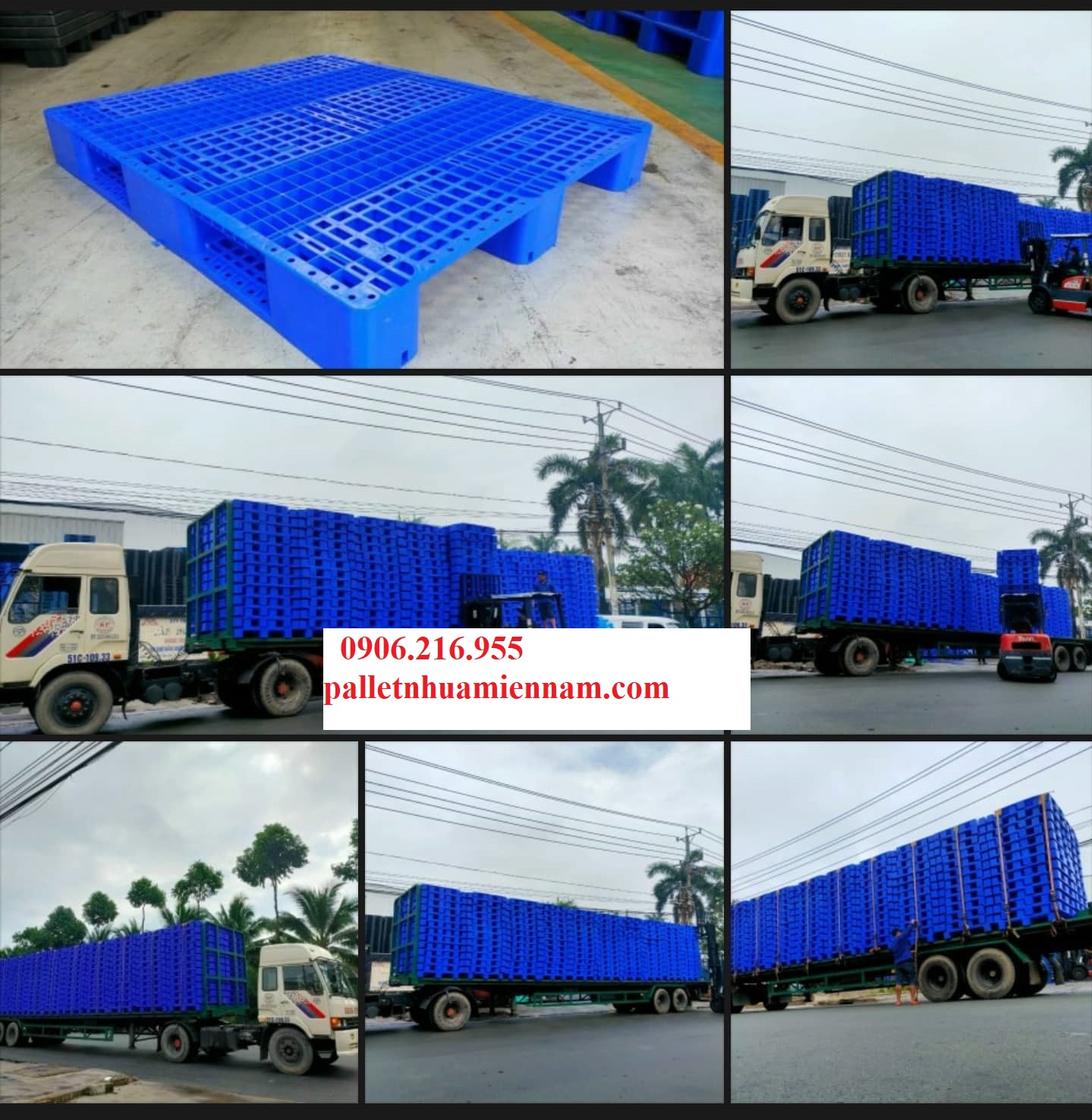 Pallet Nhựa Xanh Sẵn 100 Mẫu Đẹp Giá Rẻ Đẹp Bền Giao Nhanh