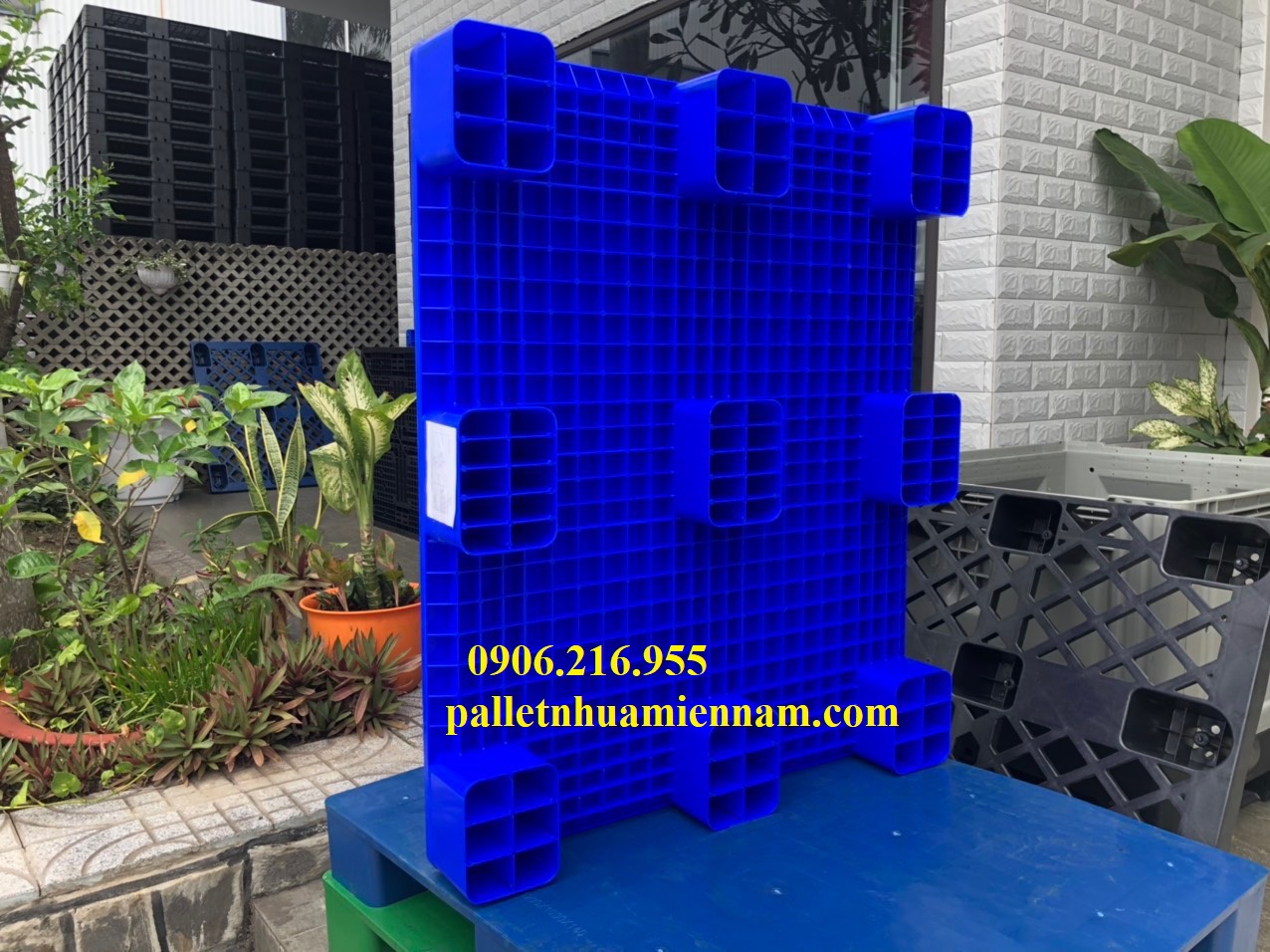 Pallet Nhựa Xanh Sẵn 100 Mẫu Đẹp Giá Rẻ Đẹp Bền Giao Nhanh