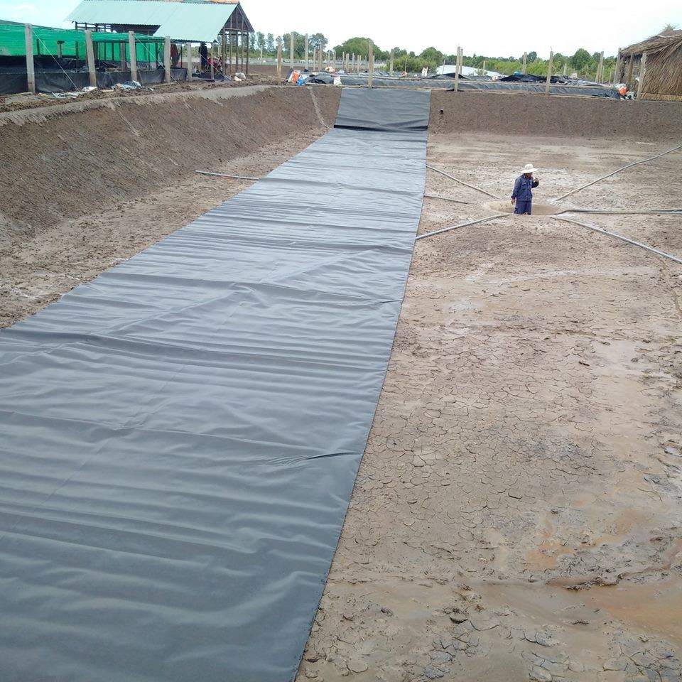 Bạt trải hồ, bạt HDPE nuôi tôm cá, bạt lót hồ Bình Minh