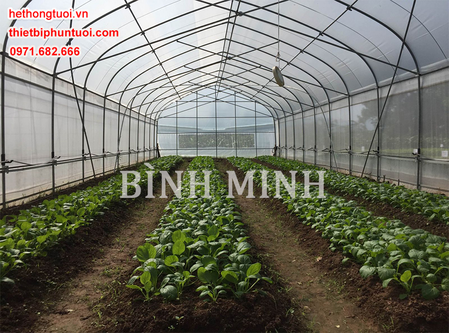 Màng nhà kính Politiv Israel, nhà kính giá rẻ, nhà kính nông nghiệp