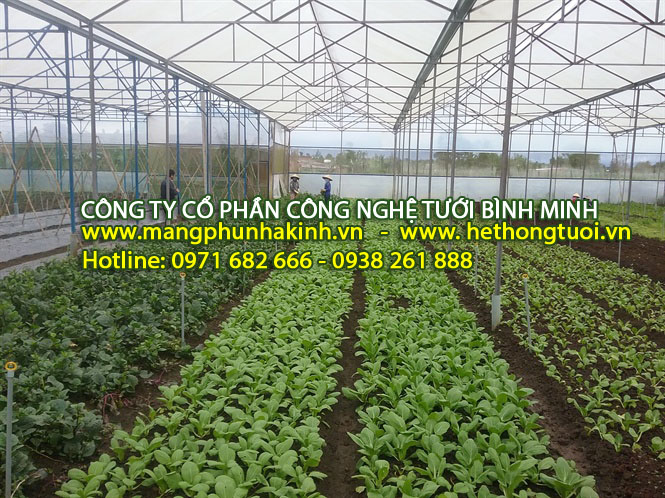 Màng nhà kính Politiv Israel, nhà kính giá rẻ, nhà kính nông nghiệp