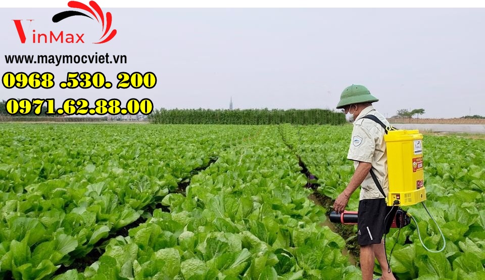 Biện pháp diệt trừ bọ nhảy trên rau cải bằng máy phun thuốc Turbo BA-6