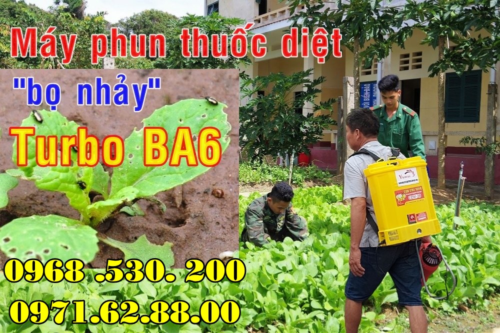 Biện pháp diệt trừ bọ nhảy trên rau cải bằng máy phun thuốc Turbo BA-6