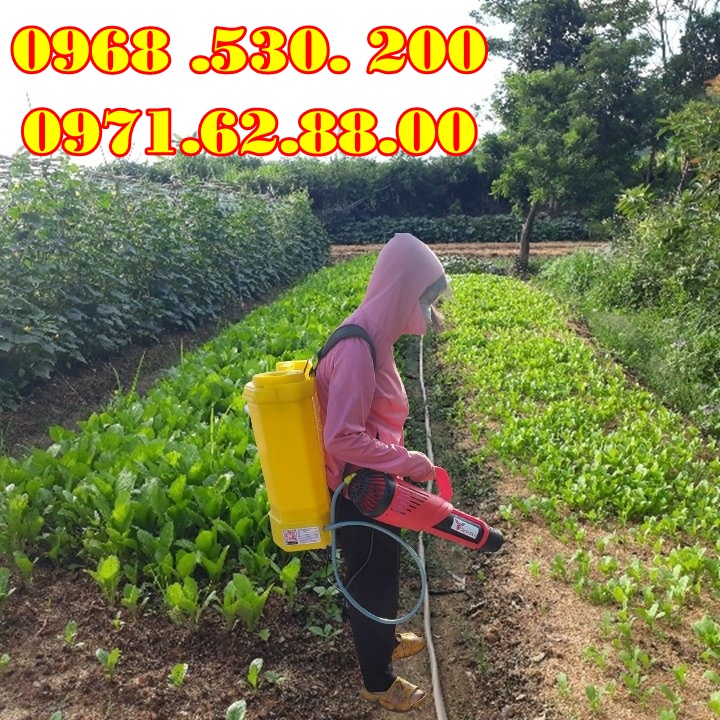 Biện pháp diệt trừ bọ nhảy trên rau cải bằng máy phun thuốc Turbo BA-6