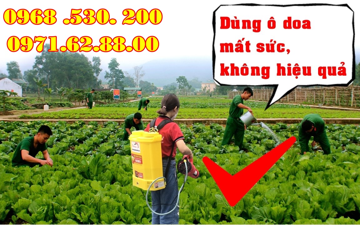 Biện pháp diệt trừ bọ nhảy trên rau cải bằng máy phun thuốc Turbo BA-6