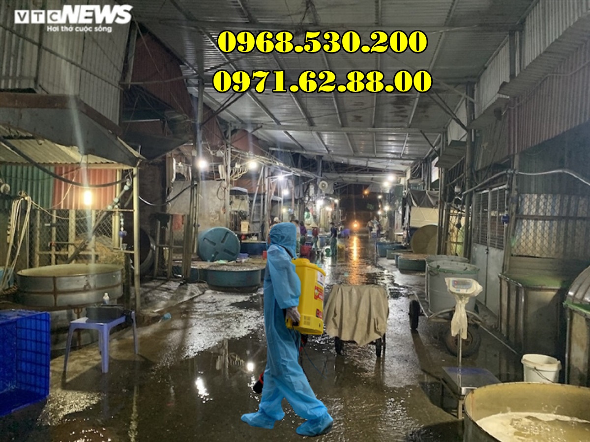 Phun hóa chất khử trùng tiêu độc tại các chợ bằng máy phun Turbo BA-6