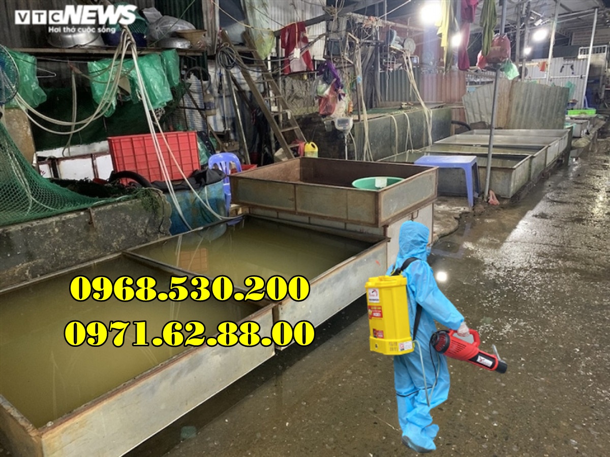 Phun hóa chất khử trùng tiêu độc tại các chợ bằng máy phun Turbo BA-6