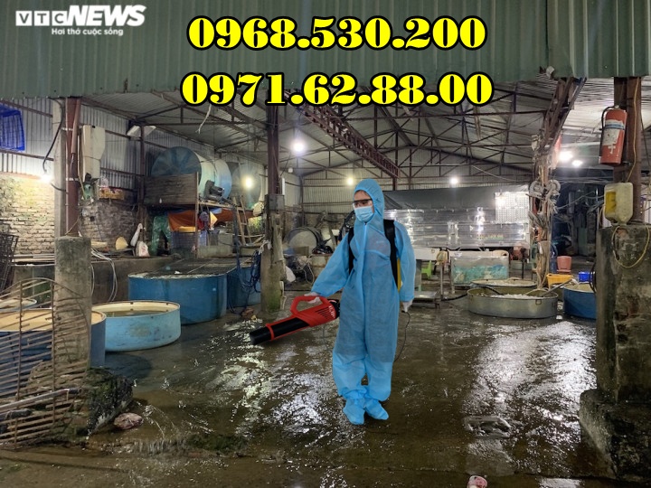 Phun hóa chất khử trùng tiêu độc tại các chợ bằng máy phun Turbo BA-6