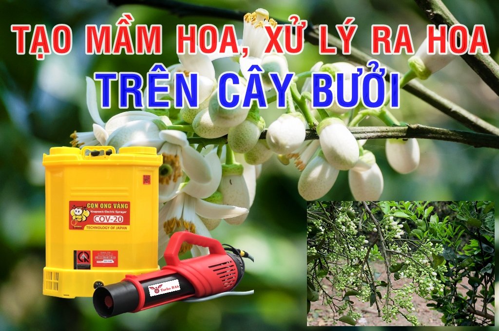 Máy phun dưỡng nụ , dưỡng hoa bưởi da xanh Turbo Ba-6