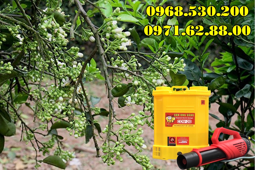 Máy phun dưỡng nụ , dưỡng hoa bưởi da xanh Turbo Ba-6