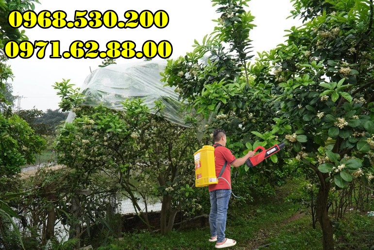 Máy phun dưỡng nụ , dưỡng hoa bưởi da xanh Turbo Ba-6