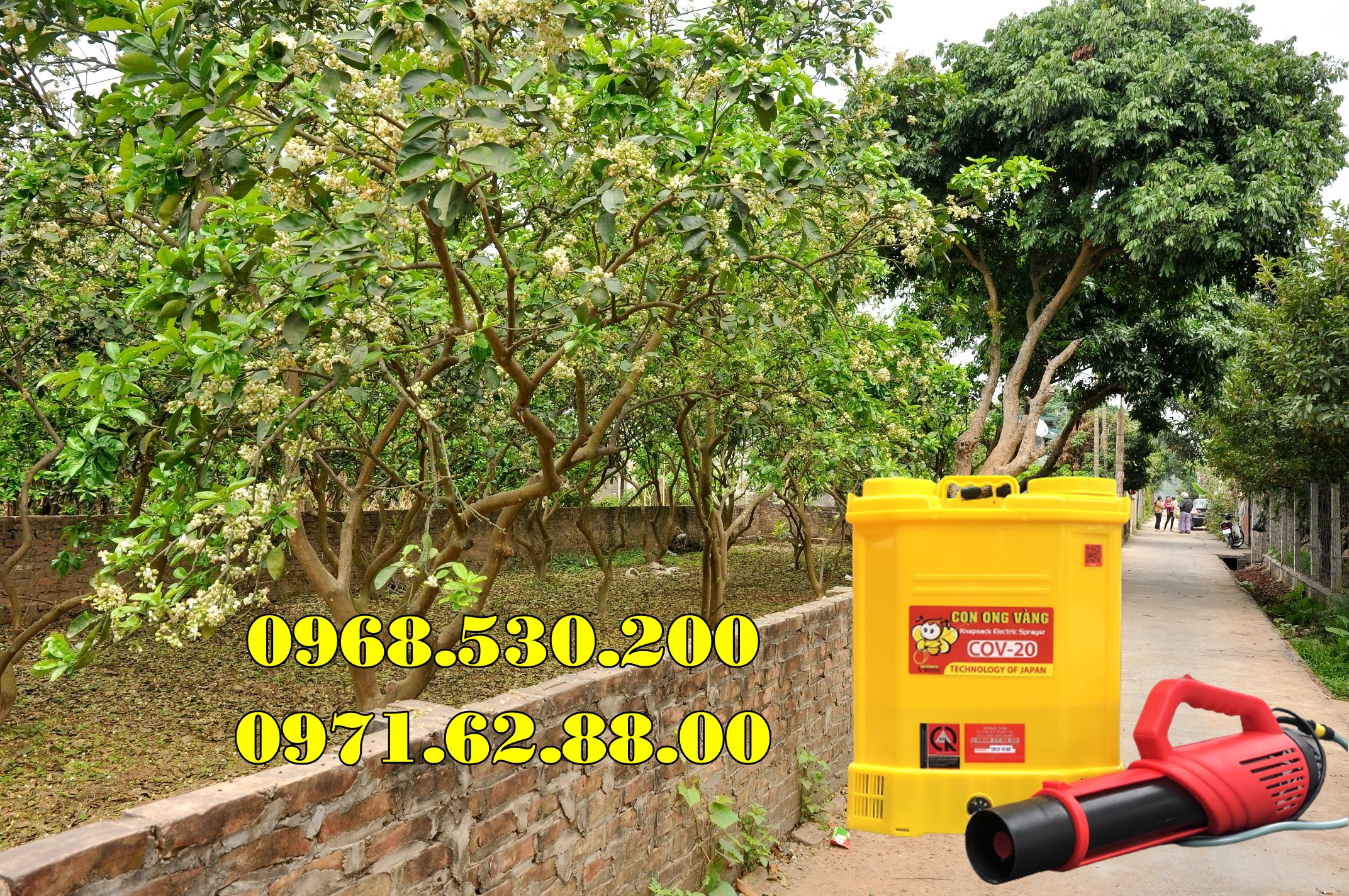 Máy phun dưỡng nụ , dưỡng hoa bưởi da xanh Turbo Ba-6