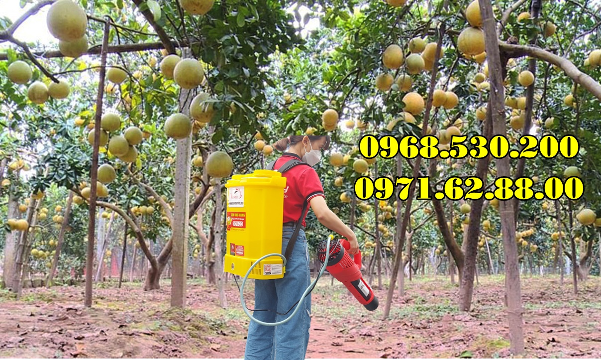 Máy phun dưỡng nụ , dưỡng hoa bưởi da xanh Turbo Ba-6