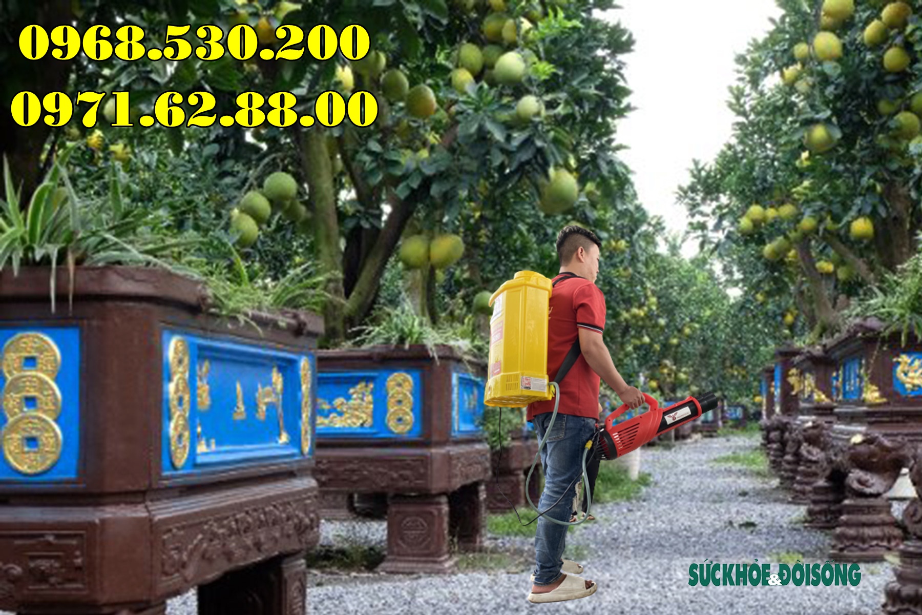 Máy phun dưỡng nụ , dưỡng hoa bưởi da xanh Turbo Ba-6