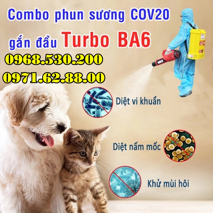 Máy phun khử khuẩn chuồng nuôi thú cưng chó mèo Turbo Ba-6