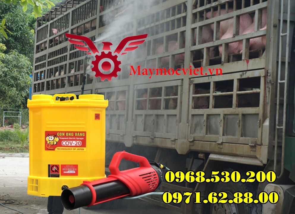 Cách phòng chống bệnh dịch tả lợn Châu Phi hiệu quả nhất năm 2022