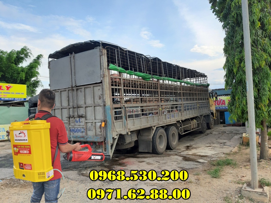 Cách phòng chống bệnh dịch tả lợn Châu Phi hiệu quả nhất năm 2022