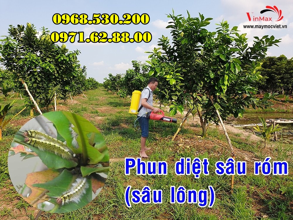 Diệt sâu róm hại bằng máy phun thuốc Turbo BA-6 hiệu quả