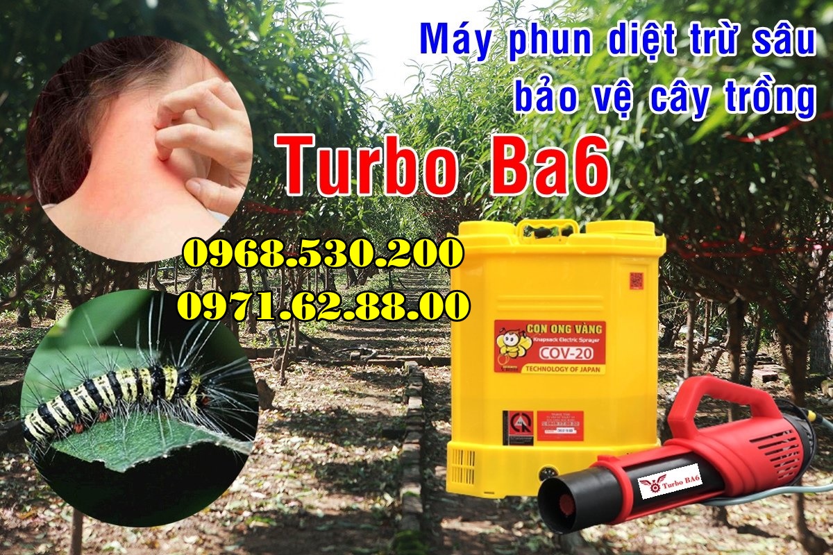 Diệt sâu róm hại bằng máy phun thuốc Turbo BA-6 hiệu quả