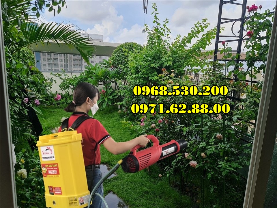 Diệt sâu róm hại bằng máy phun thuốc Turbo BA-6 hiệu quả