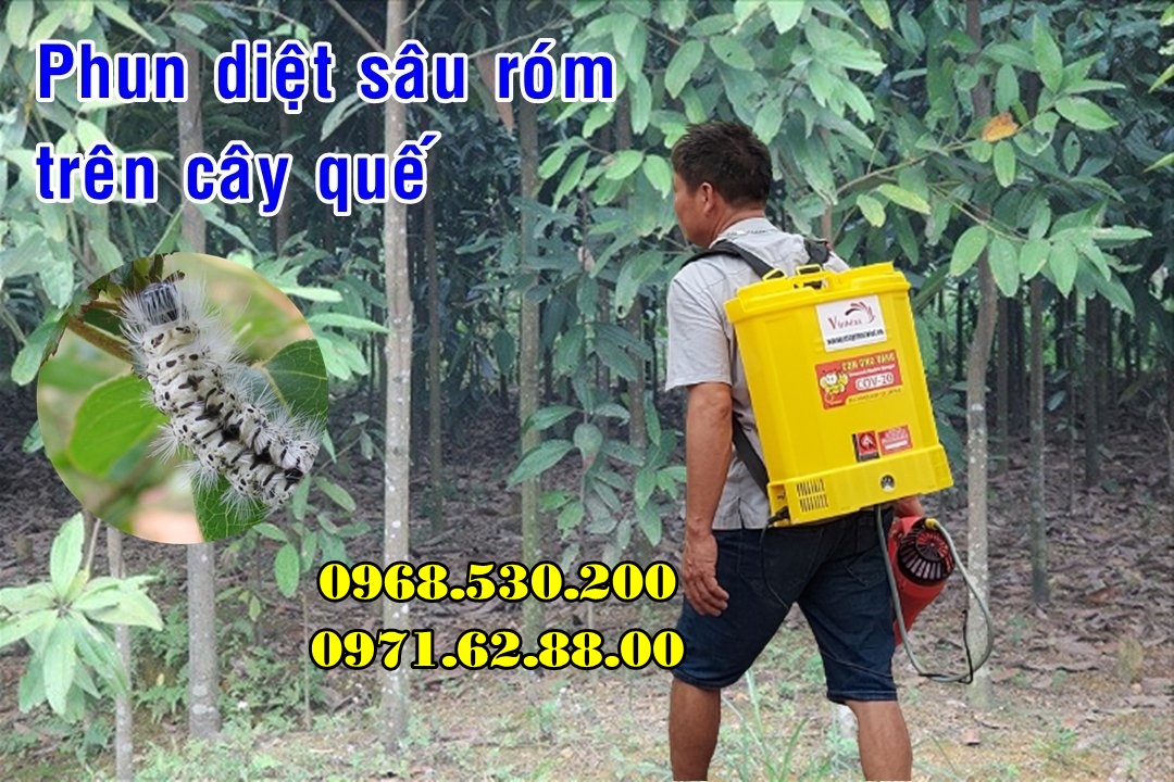 Diệt sâu róm hại bằng máy phun thuốc Turbo BA-6 hiệu quả