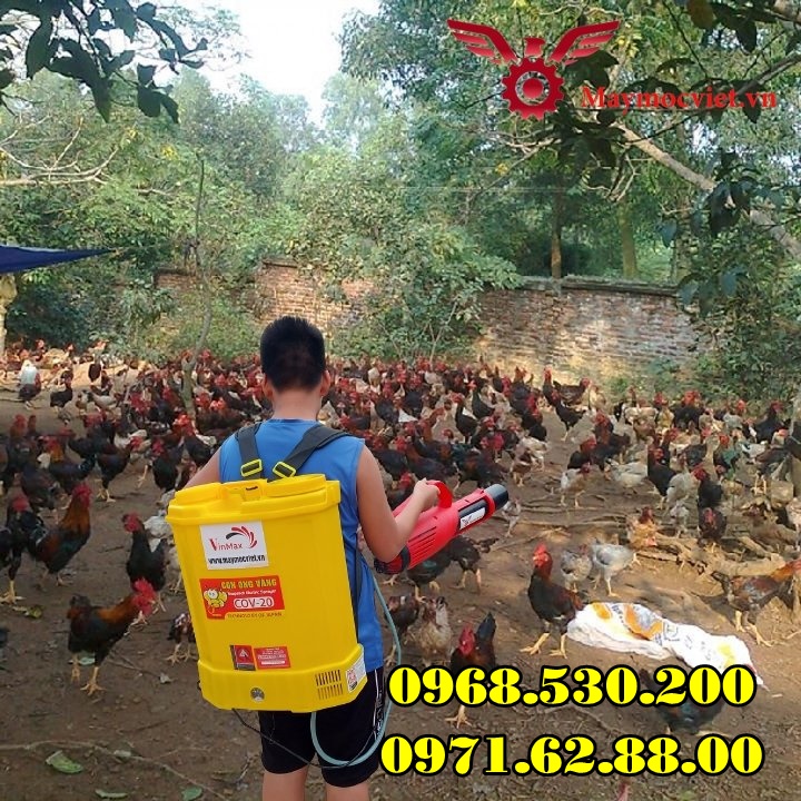 Vệ sinh ,tiêu độc khử trùng chuồng nuôi khu vực chăn nuôi