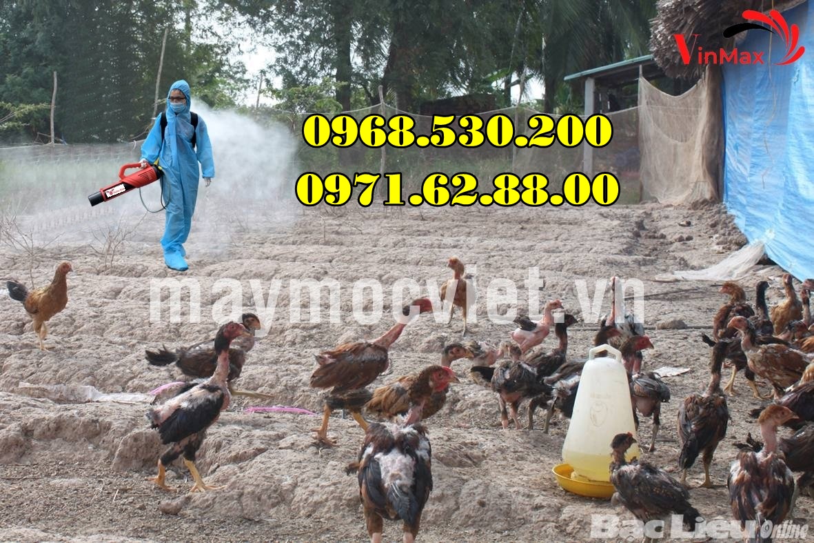 Vệ sinh ,tiêu độc khử trùng chuồng nuôi khu vực chăn nuôi