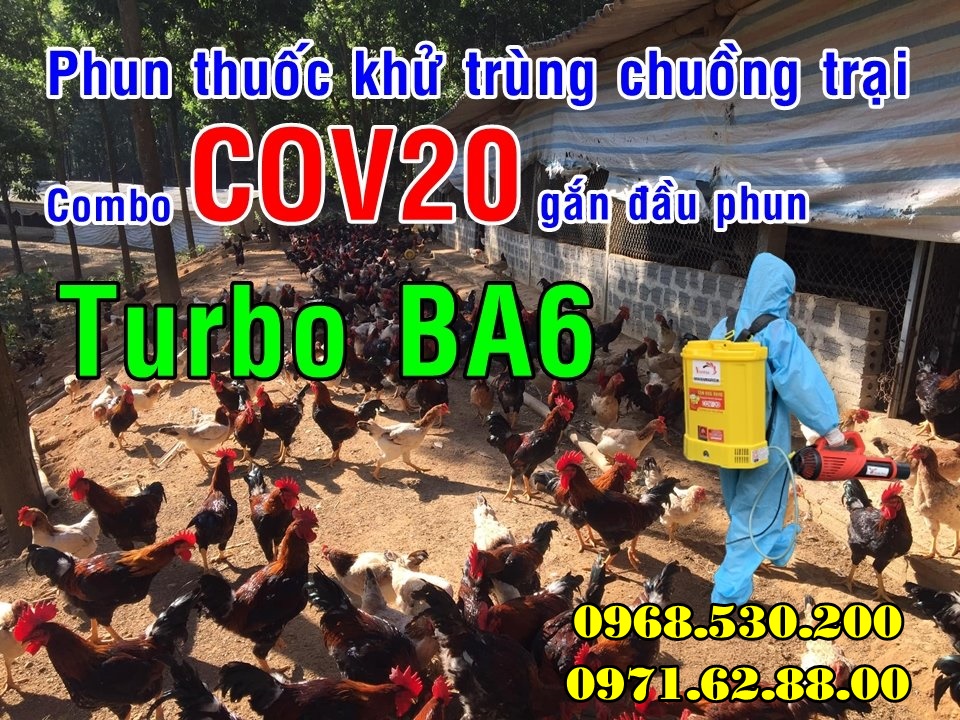 Vệ sinh ,tiêu độc khử trùng chuồng nuôi khu vực chăn nuôi