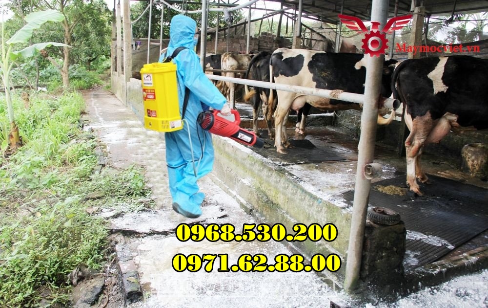 Vệ sinh ,tiêu độc khử trùng chuồng nuôi khu vực chăn nuôi