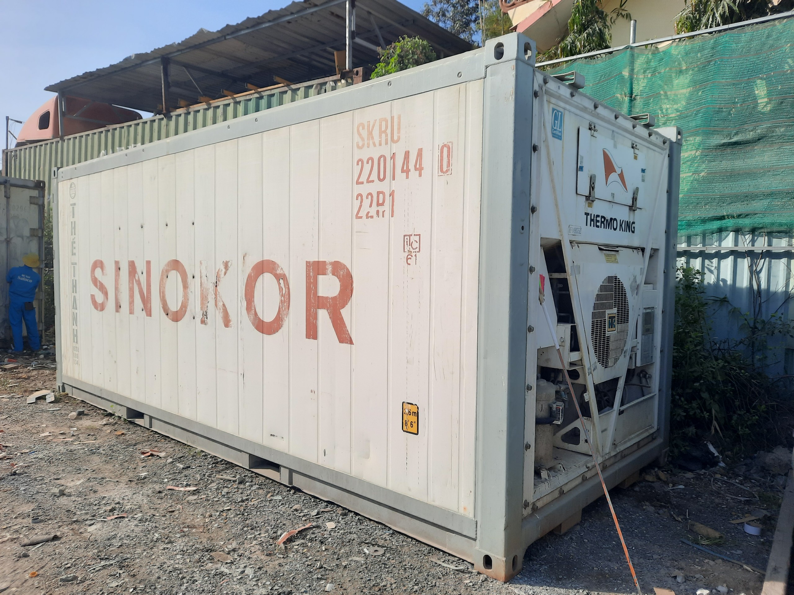 Thanh lý container lạnh 20 feet cuối năm