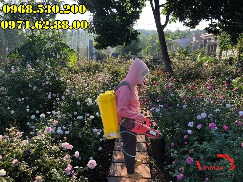 Hướng dẫn phun nước vôi trong cho hoa hồng bằng máy phun Turbo BA-6