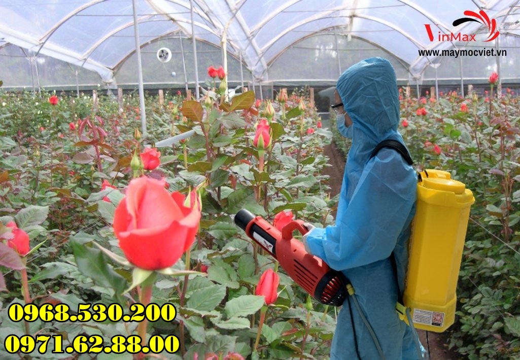 Hướng dẫn phun nước vôi trong cho hoa hồng bằng máy phun Turbo BA-6