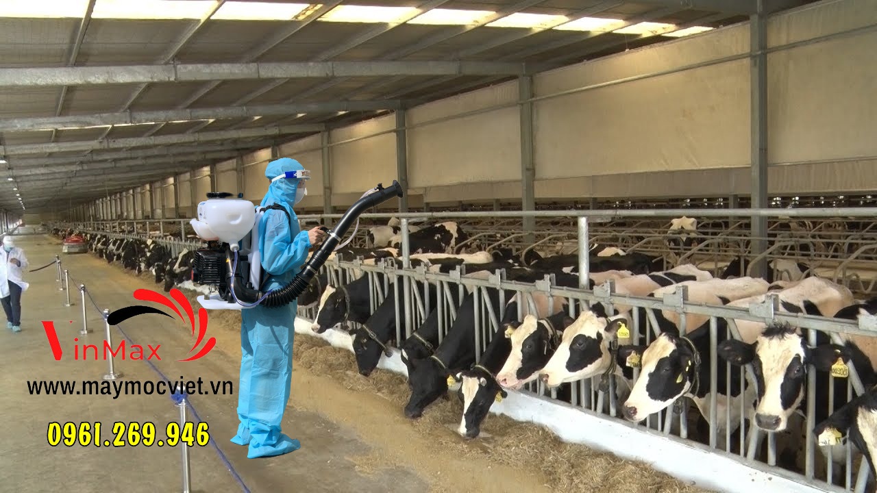 Máy phun thuốc Kawasaki TK65 phòng chống bệnh cho trâu bò