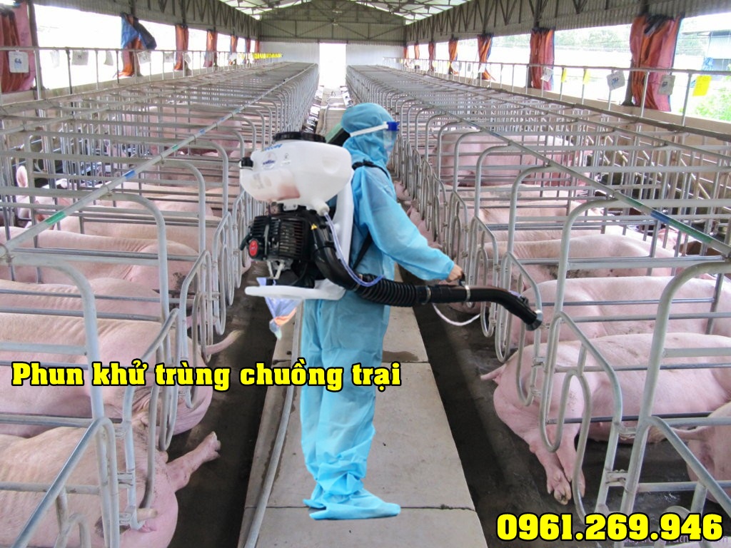 Máy phun thuốc Kawasaki TK65 phòng chống bệnh cho trâu bò