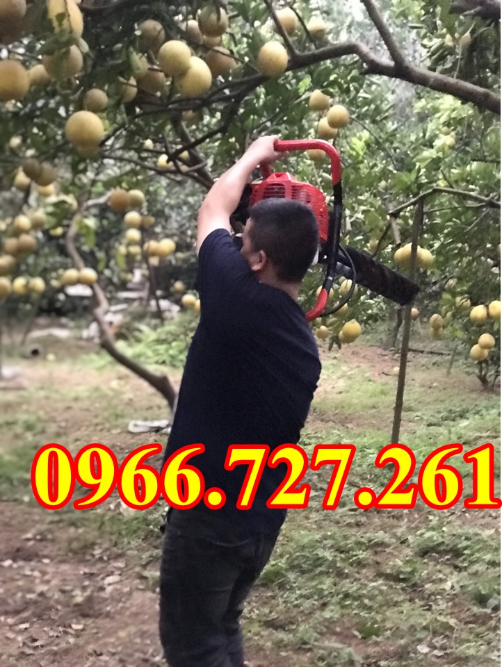 Máy khoan đất trồng cây SUMO KD520 tại Hà Nội