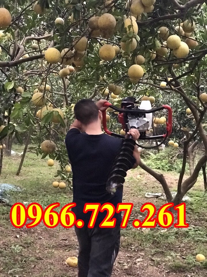 Máy khoan đất trồng cây SUMO KD520 tại Hà Nội