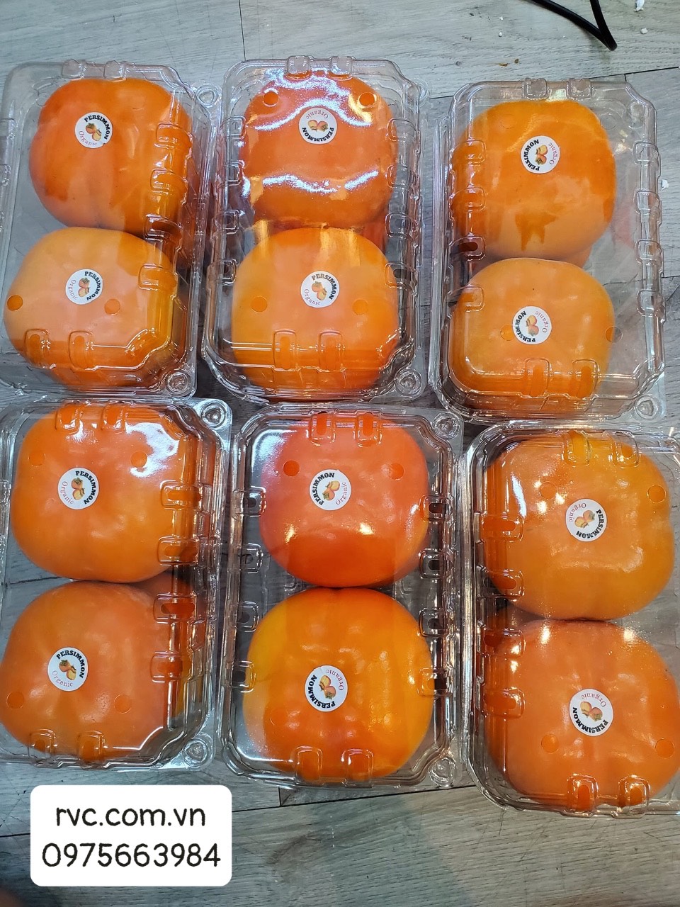 Hộp nhựa P1000B - Giải pháp bảo quản trái cây toàn diện 