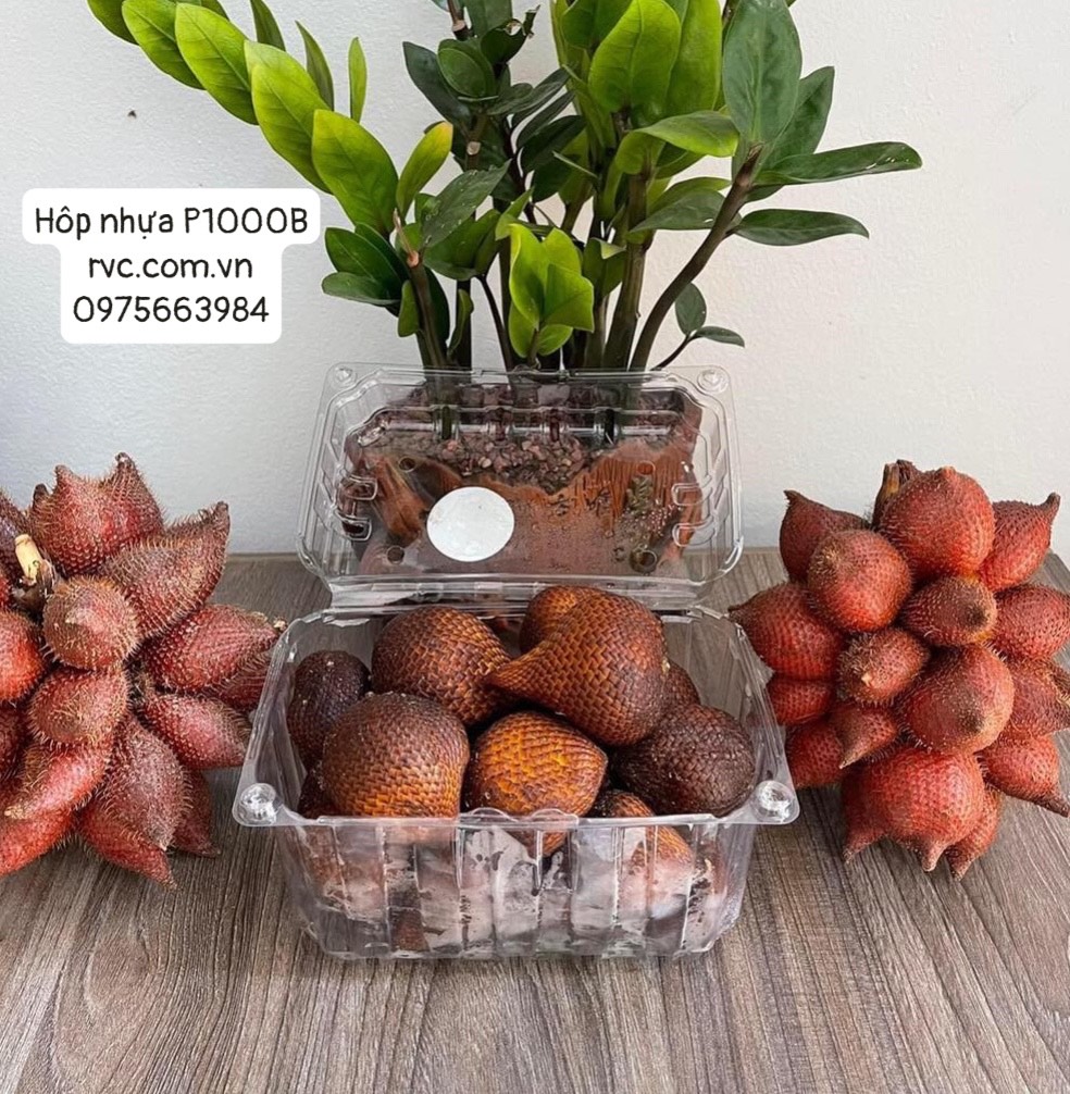 Hộp nhựa P1000B - Giải pháp bảo quản trái cây toàn diện 