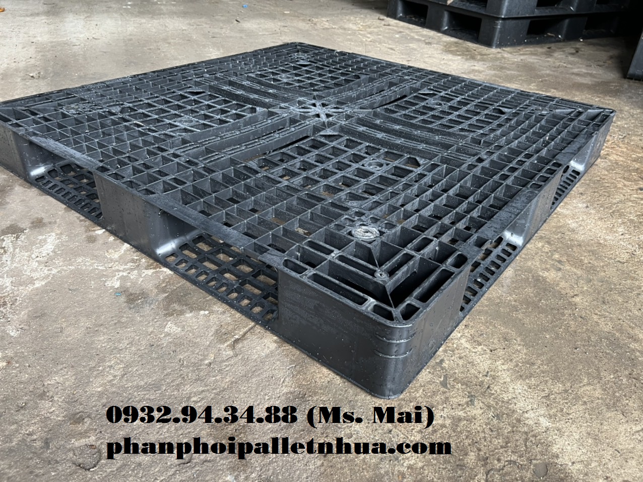 Pallet nhựa cũ tại Gia Lai  với giá siêu rẻ