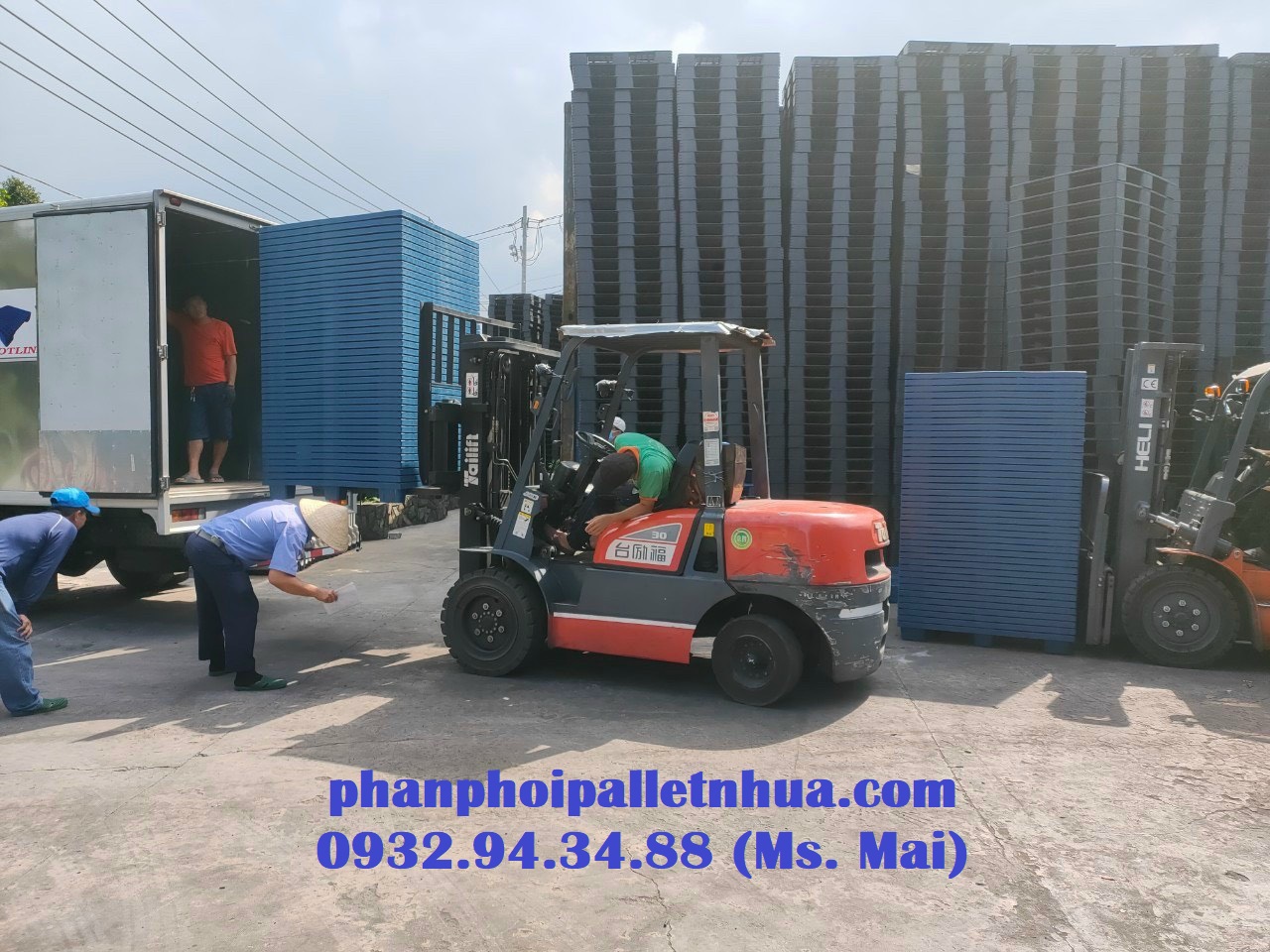 Pallet nhựa cũ tại Gia Lai  với giá siêu rẻ