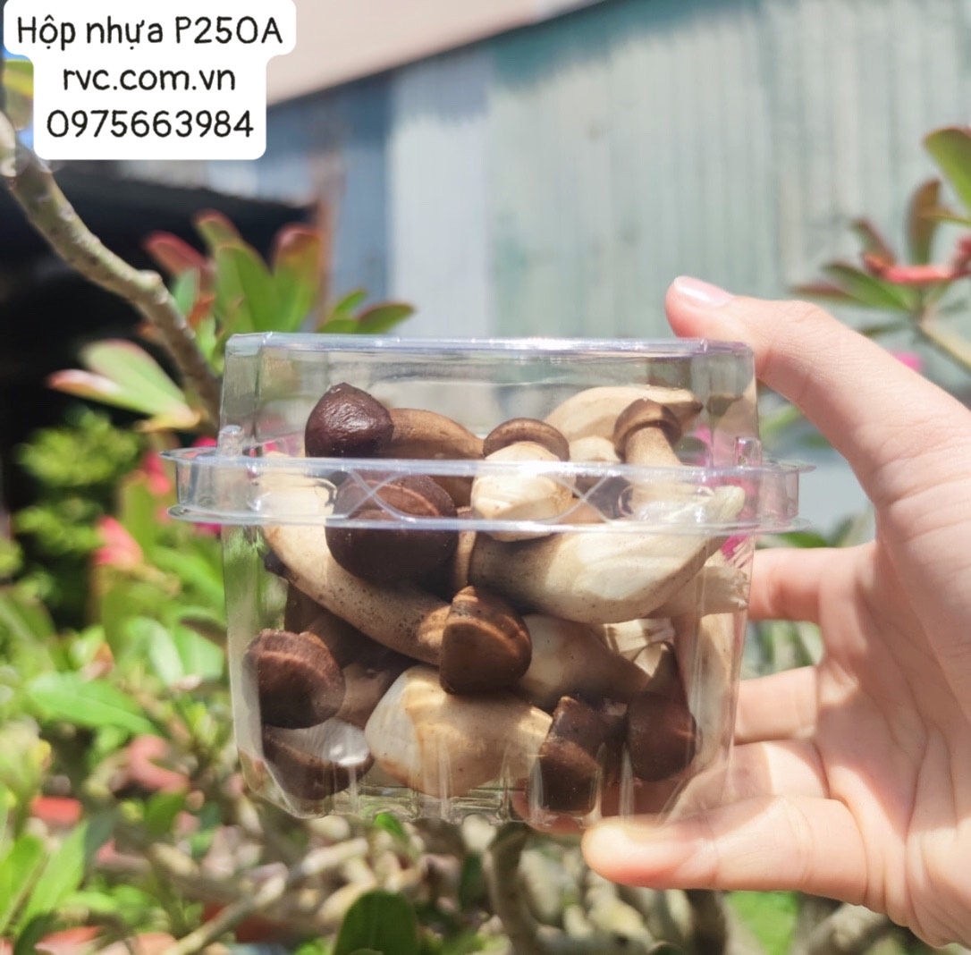 Hộp nhựa đựng trái cây 200g và những công dụng tuyệt vời 