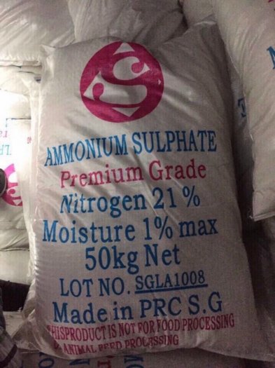 SA Capro,  hạt, bột giá cảng tốt nhất thị trường